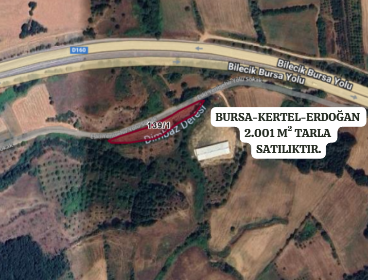 BURSA KESTEL ERDOĞAN'DA  2.001 M²  TARLA SATILIKTIR - BURSA KESTEL fotoğraf 2