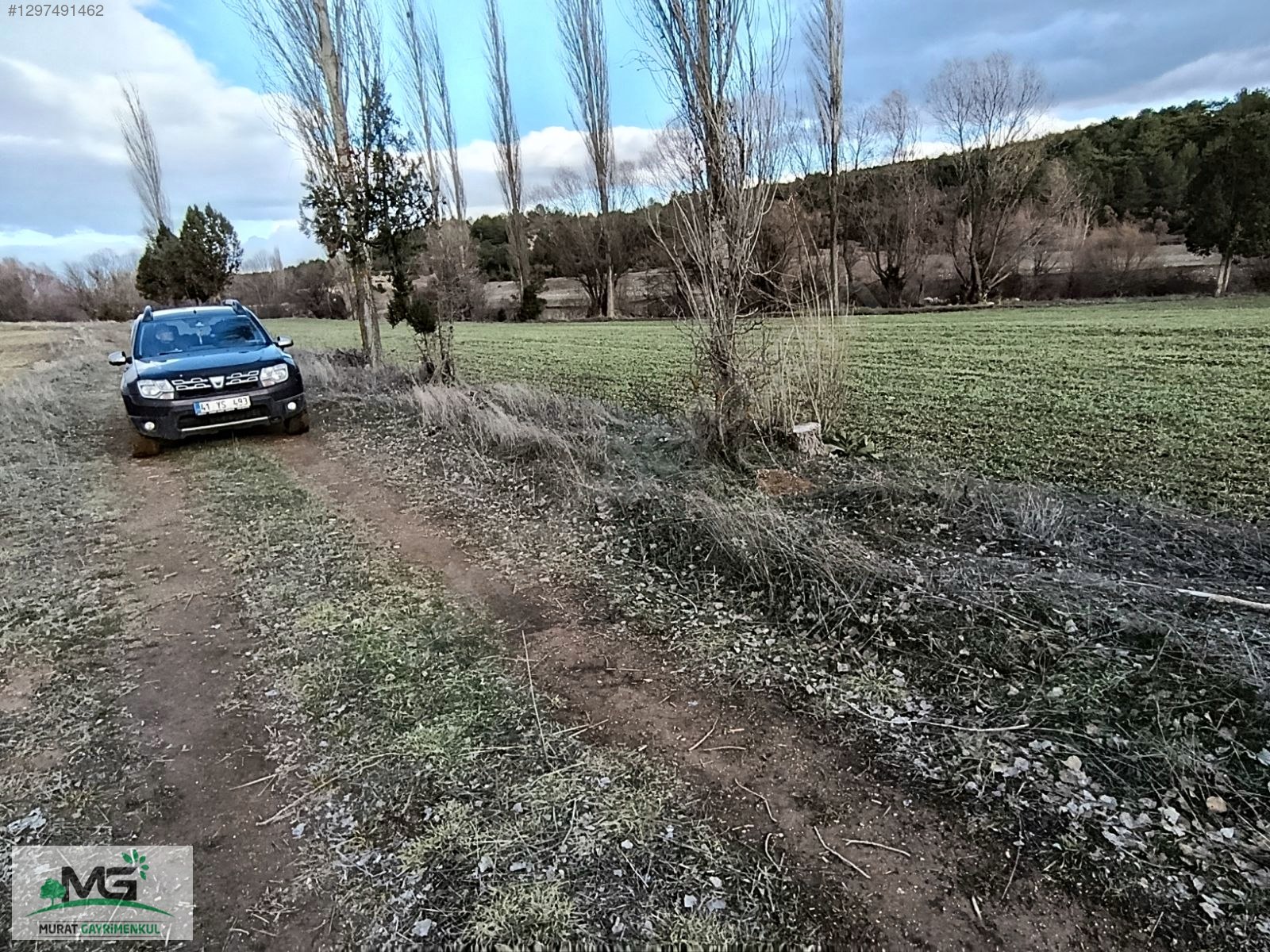 KÜTAHYA ALTINTAŞ PINARCIK FIRSAT ÜRÜN TARLA ARSA BAHÇE - KÜTAHYA ALTINTAŞ fotoğraf 12