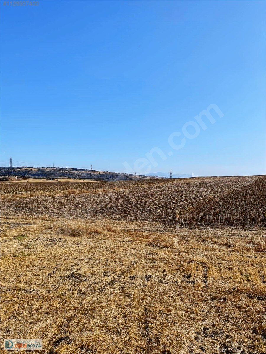 Bandırma Akçapınarda Yatırımlık Satılık 7.700 m2 Arazi. - BALIKESİR BANDIRMA fotoğraf 9
