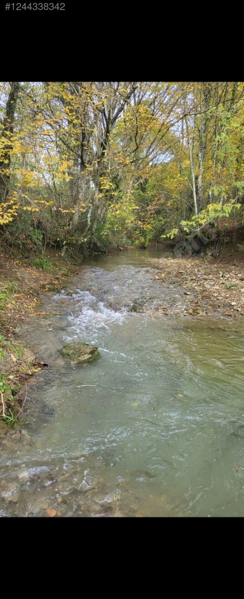 Gökçeören Satılık Arazi - KOCAELİ İZMİT fotoğraf 5