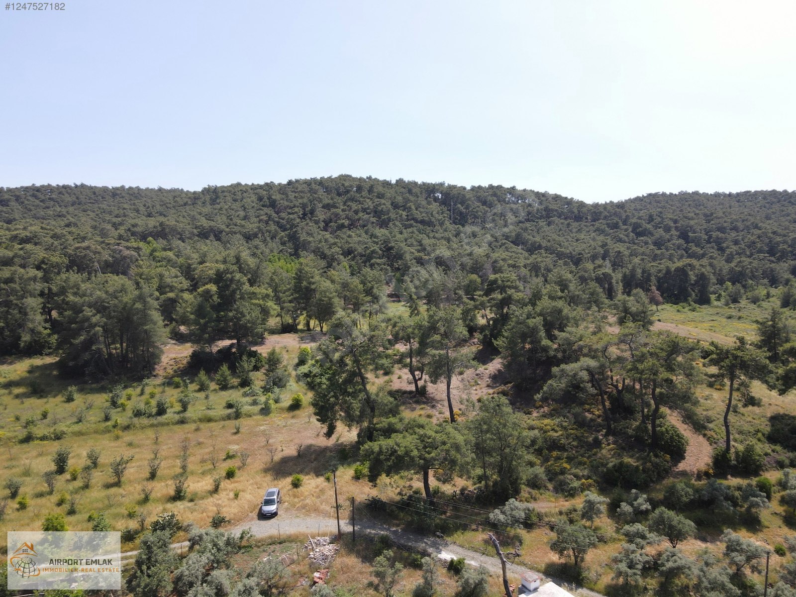 Muğla - Köyceğiz Zeytinalanı'nda Göle Yürüme Mesafesinde Arsa - MUĞLA KÖYCEĞİZ fotoğraf 7