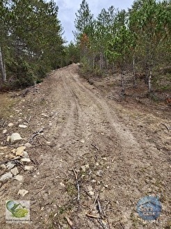 🚨 KÜTAHYA / ALTINTAŞ'TA DOĞANIN İÇİNDE 4800 M2 ARAZİ 🚨 - KÜTAHYA ALTINTAŞ fotoğraf 9