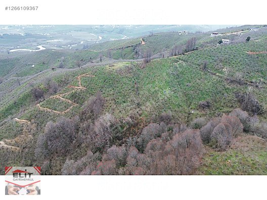 DÜZCE AKÇAKOCA DA EV YAPIMINA UYGUN SATILIK 7.768 M2 FINDIKLIK - DÜZCE AKÇAKOCA fotoğraf 25