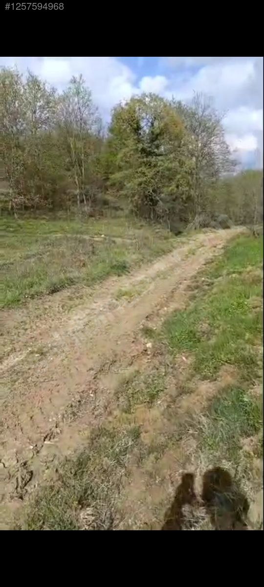 KOCAELİ İZMİT BULDUK  KÖYÜNDE 985 M²  TARLA  SATILIKTIR - KOCAELİ İZMİT fotoğraf 7