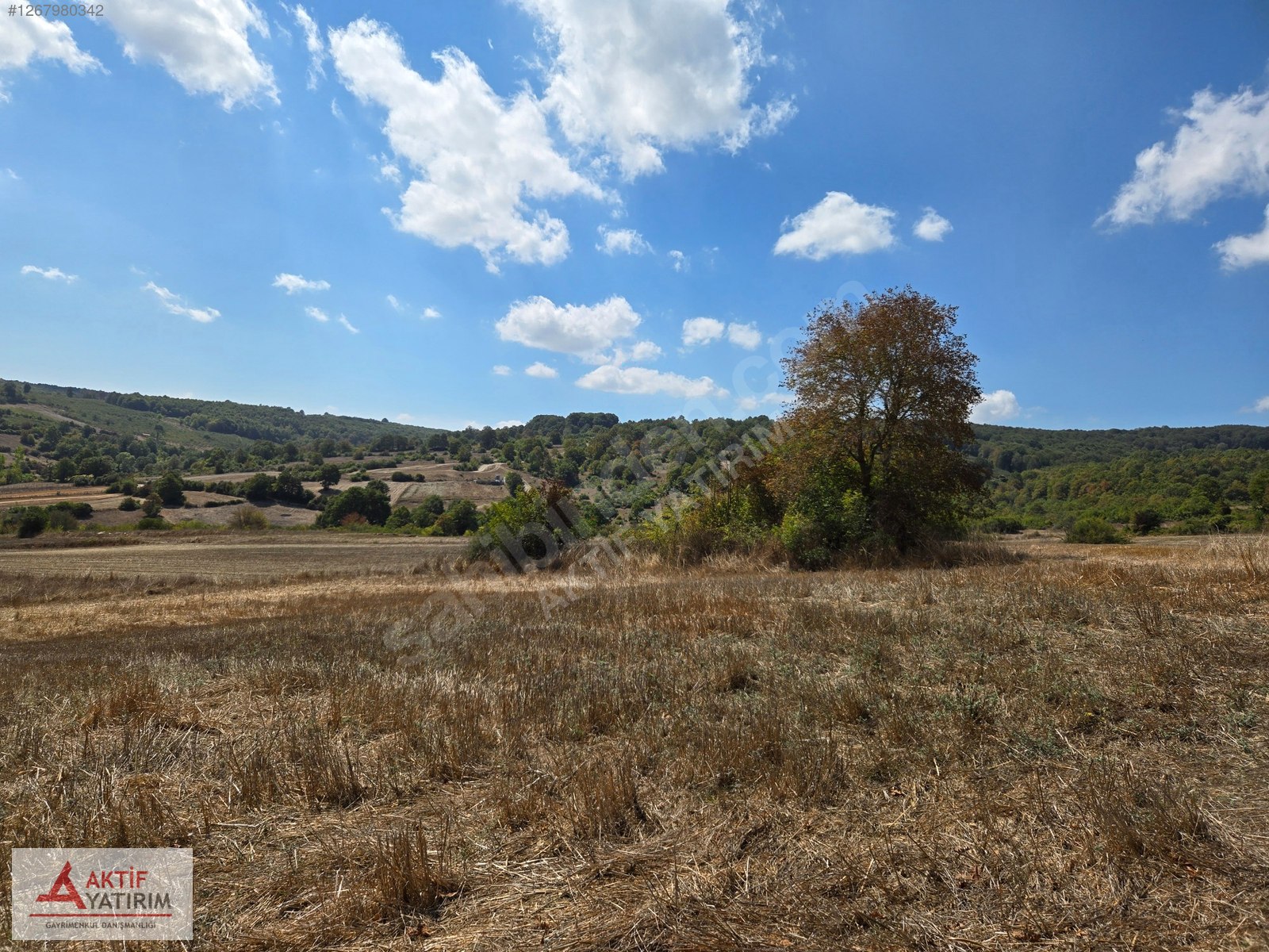 HEDİYELİ MAHALLESİ'NDE YERLEŞİM KENARINDA 2571 M2 SATILIK TARLA - KOCAELİ KANDIRA fotoğraf 16