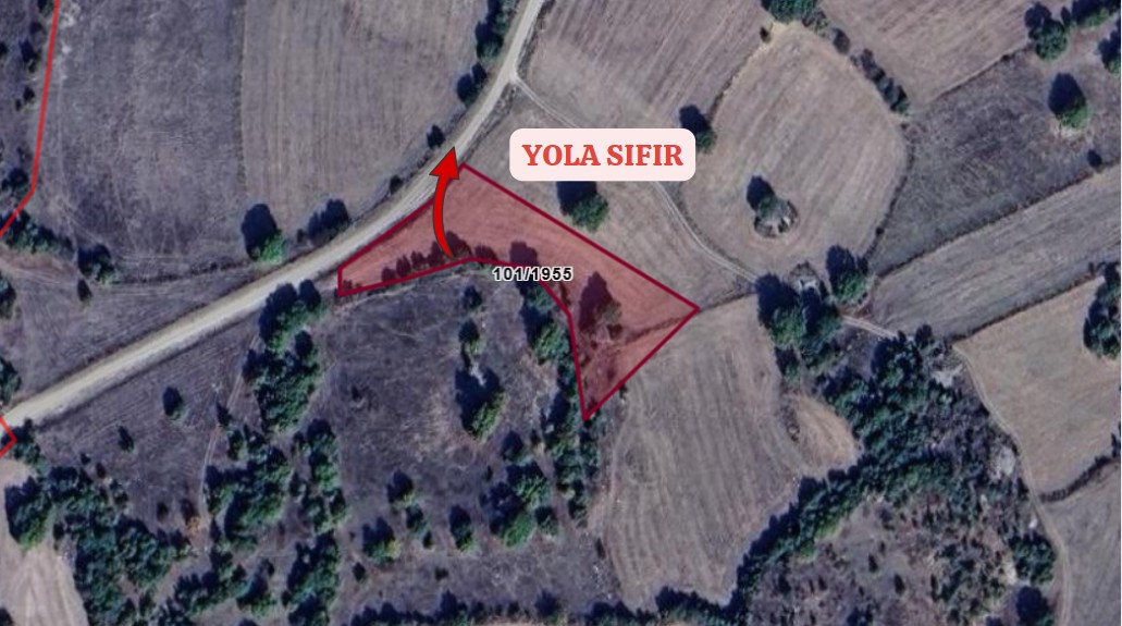 KÜTAHYA DOMANİÇ SARIOT KÖYÜ’NDE 3.030 M²  TARLA SATILIKTIR - KÜTAHYA DOMANİÇ fotoğraf 3