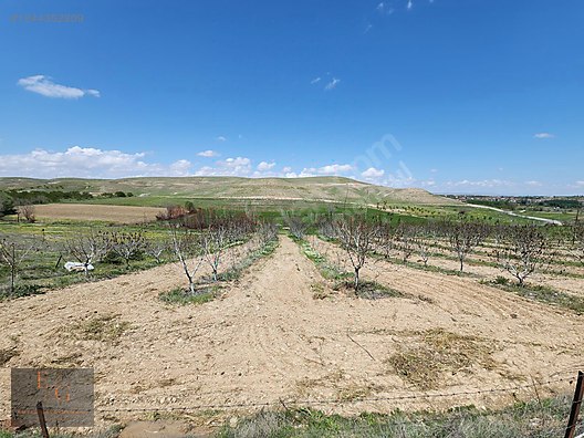 EMTİADAN DURANLARDA SİVAS YOLUNA 4 DK MESAFEDE TEK TAPU 14 DÖNÜM - MALATYA YEŞİLYURT fotoğraf 9