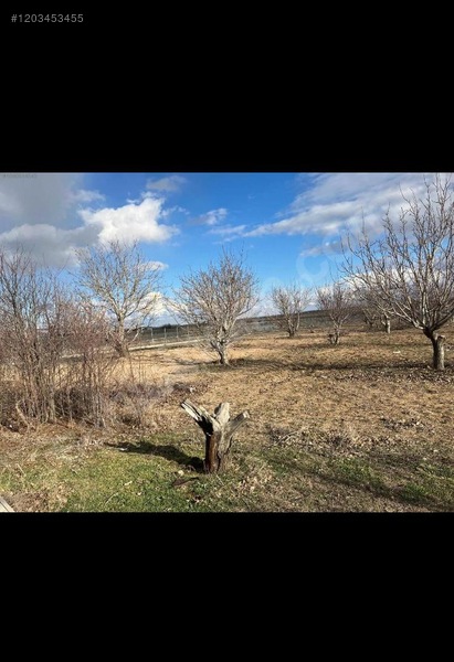 ANKARA ELMADAĞ LALABEL KÖYÜNDE 4.832 M² TARLAMIZ SATILIKTIR. - ANKARA ELMADAĞ fotoğraf 6
