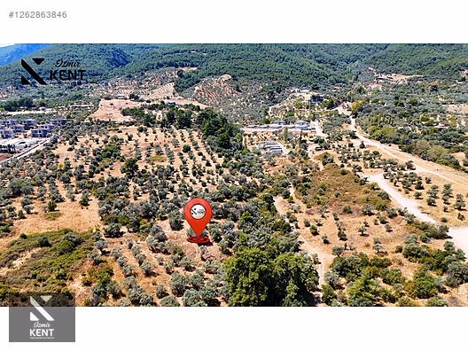 Kemalpaşa Çiniliköy Satılık 3.002 m2 Villa İmarlı Arsa - İZMİR KEMALPAŞA fotoğraf 14