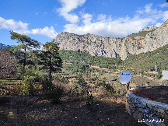 ANAMUR KORUCUKTA MÜSTAKİL SATILIK ZEYTİN VE AVOKADO BAHÇESİ - MERSİN ANAMUR fotoğraf 25
