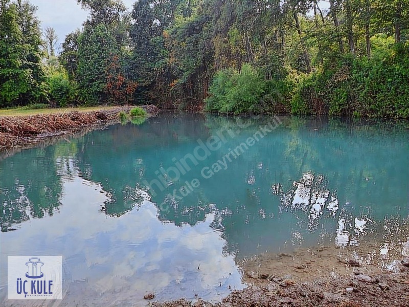 GÖL KENARINDA 4 KATLI LÜKS VİLLA, 14 DÖNÜM ARSA - MUĞLA KÖYCEĞİZ fotoğraf 8