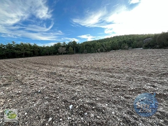 🚨 KÜTAHYA / AKÇAMESCİT'TE KÖYÜN ÜSTÜNDE 4.548 M² HARİKA ARAZİ 🚨 - KÜTAHYA MERKEZ fotoğraf 21