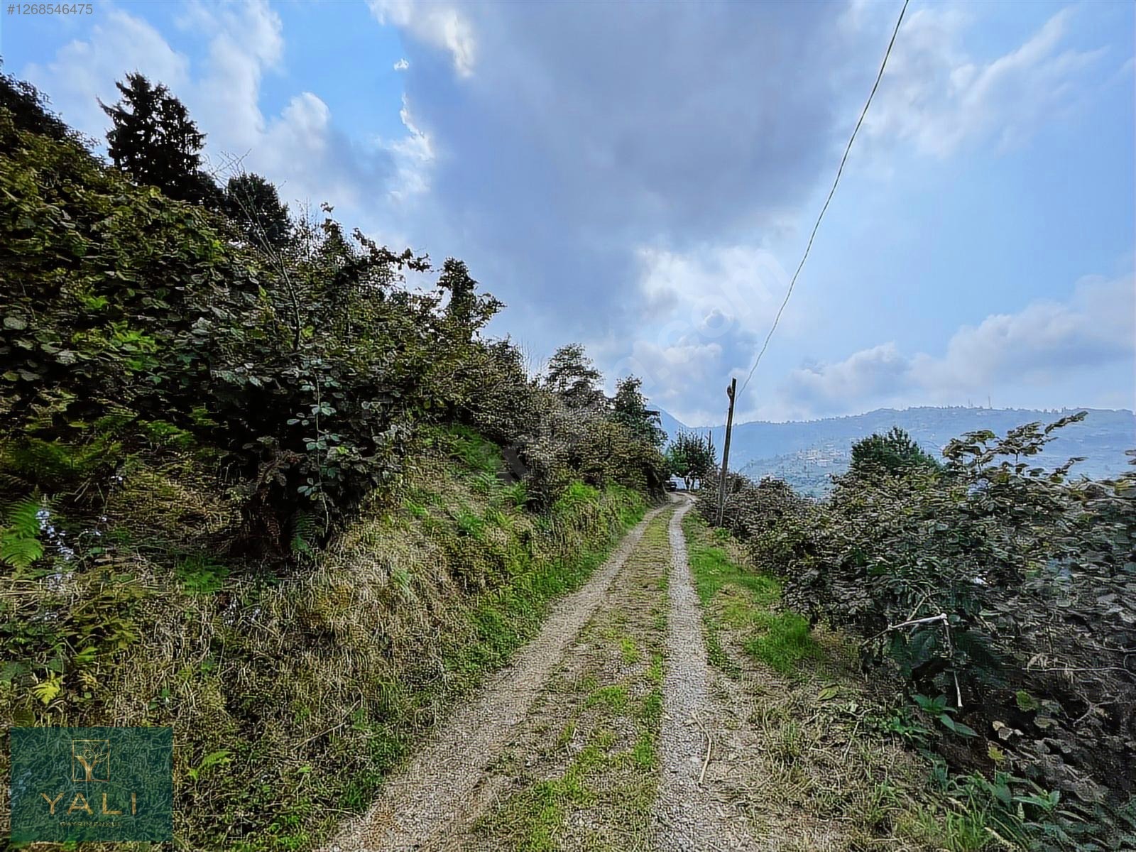 GİRESUN MERKEZ YALIKÖY MEVKİİ SATILIK ARAZİ - GİRESUN MERKEZ fotoğraf 24