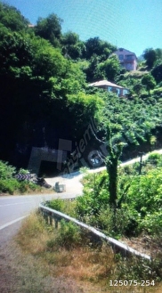 perşembe ramazan mahallesinde satılık imarlı bahçe - ORDU PERŞEMBE fotoğraf 3