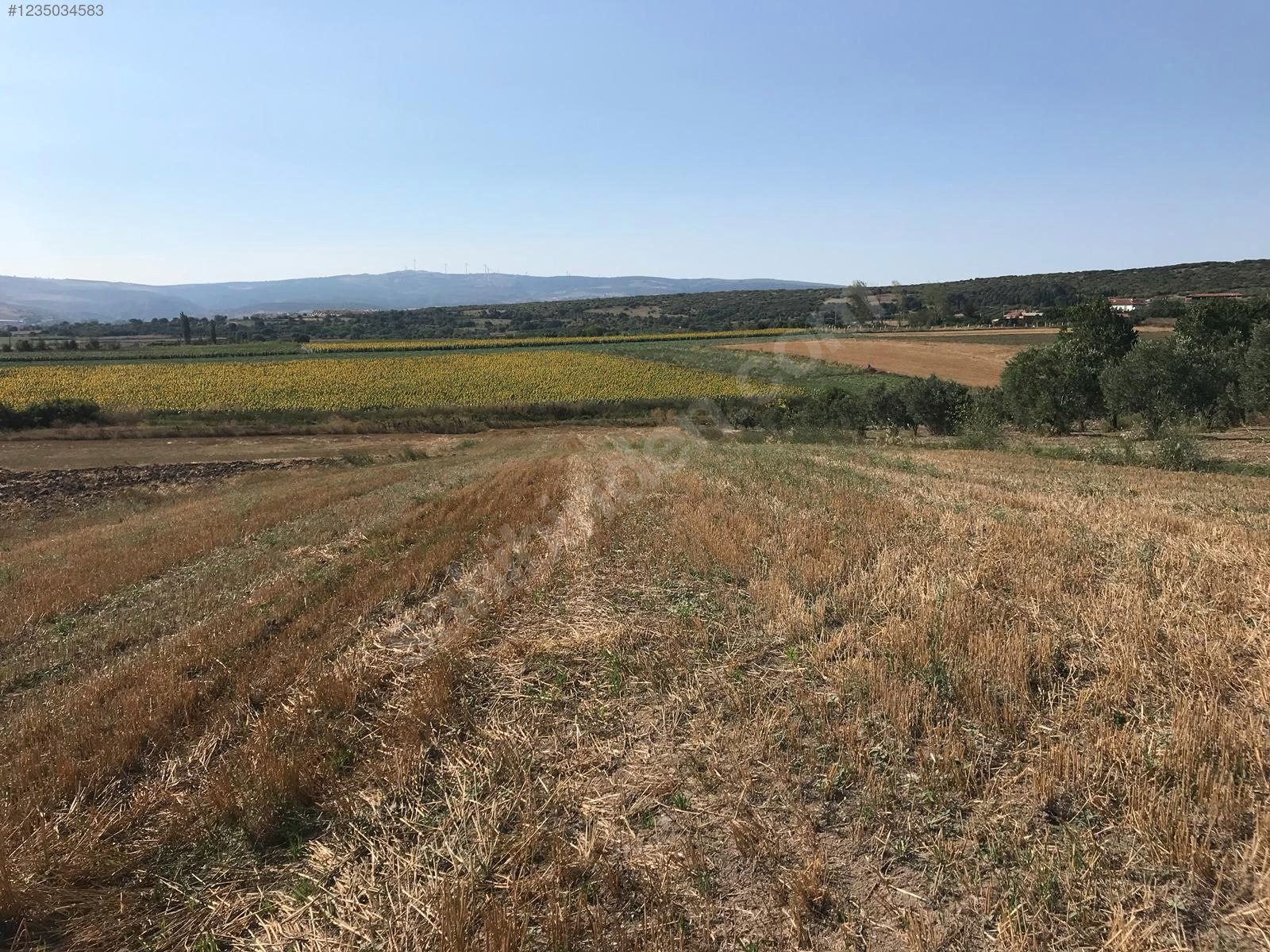 BURSA KARACABEY HARMANLI KÖYÜNDE 2.500  M² TARLA SATILIKTIR - BURSA KARACABEY fotoğraf 13