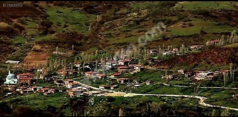 köyde küçük bir yeriniz olsun - BURSA BÜYÜKORHAN fotoğraf 2