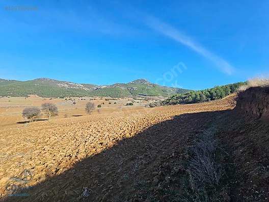 Bucak Seydiköy'de Göl Manzaralı 20 Dönüm Satılık Tarla - BURDUR BUCAK fotoğraf 13