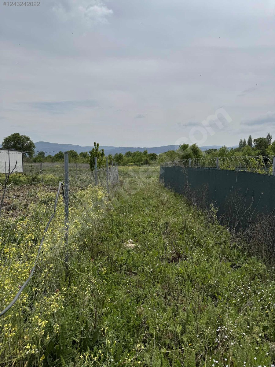 MÜKEMMEL KONUMDA TEL İLE ÇEVRİLİ KAPISINA KADAR YOLU VAR 500M2 - BURSA NİLÜFER fotoğraf 3