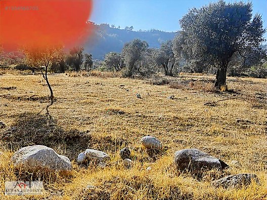 Zeytinköy'de Akbük Yolu Üzerinde, Geleceğin Değeri: 4.188m²tarla - MUĞLA MENTEŞE fotoğraf 9