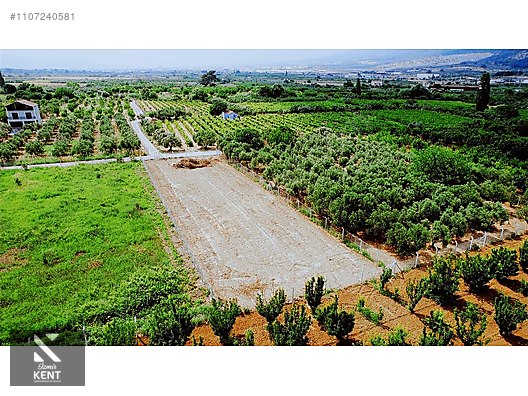 Kemalpaşa Aşağıkızılca Satılık Bahçe 1.200 m2 Tek Tapu - İZMİR KEMALPAŞA fotoğraf 38