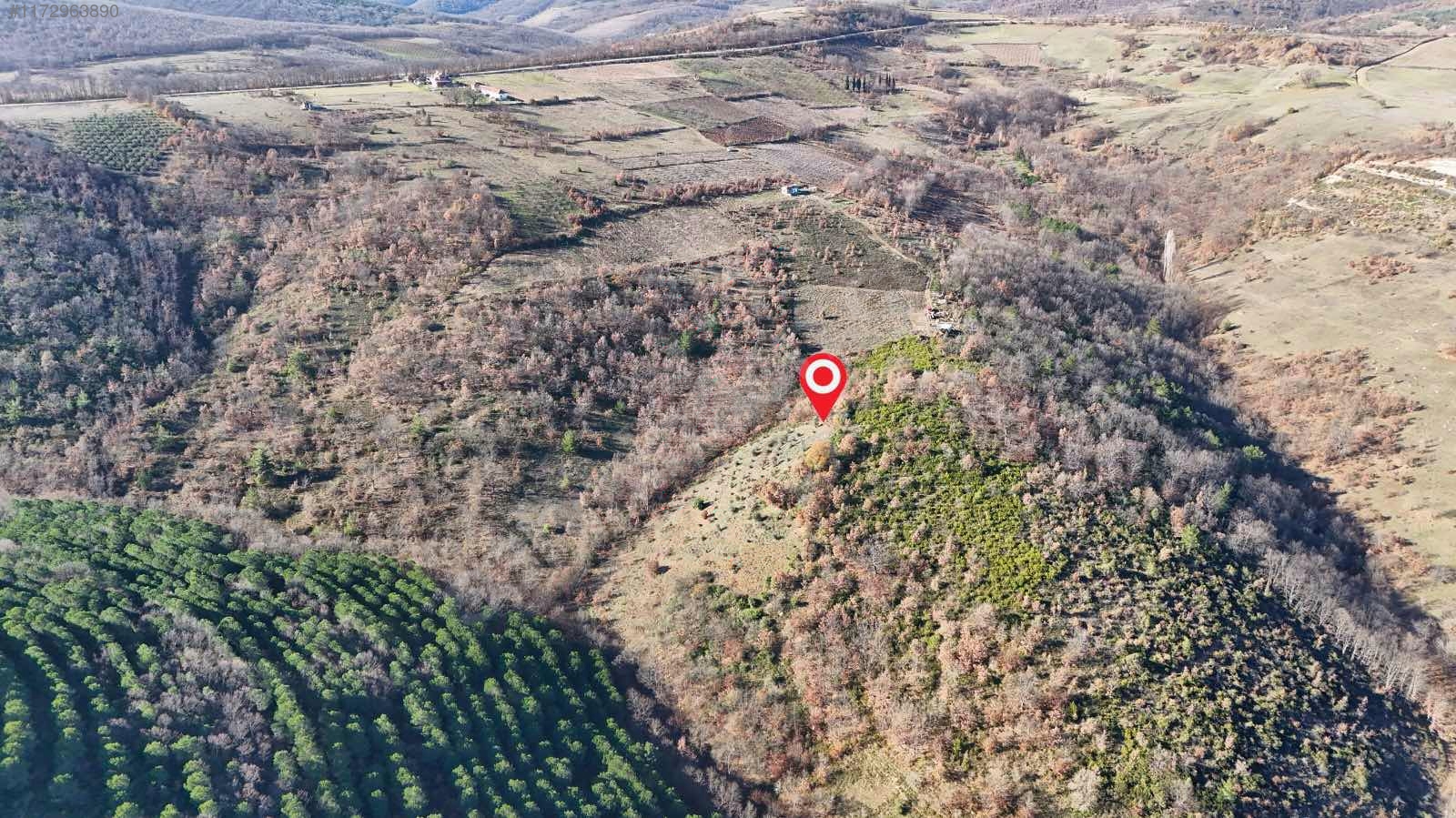 BURSA İZNİK SARIAĞIL'DA 7.826  M² TARLA SATILIKTIR. - BURSA İZNİK fotoğraf 10
