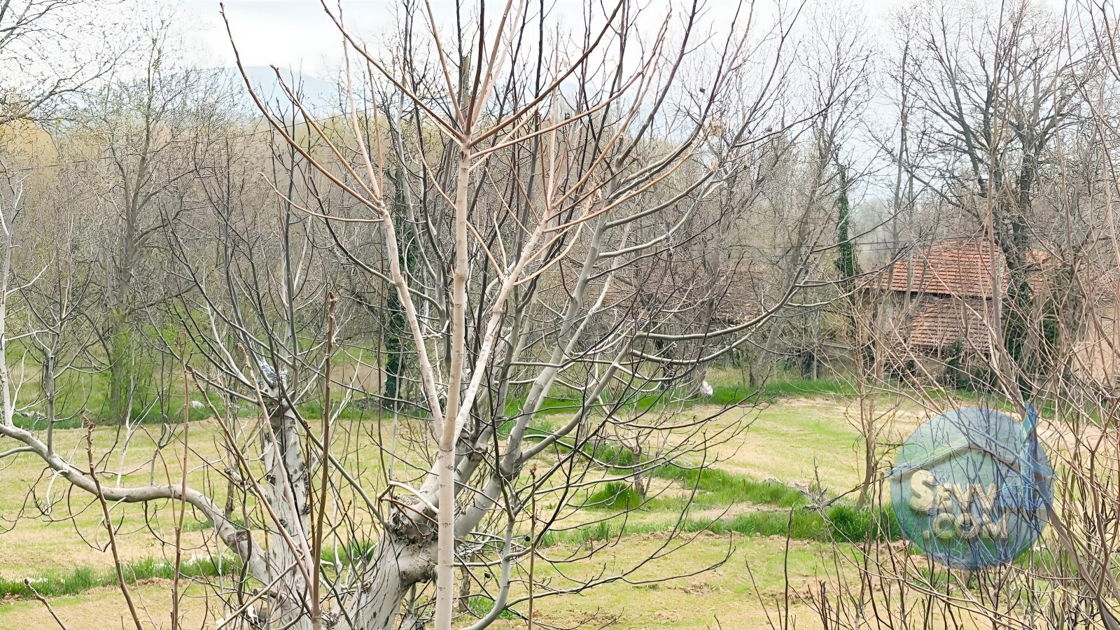 YEŞİLLİKLER DİYARI SUYUN CENNETİ YEŞİLBAŞKÖYDE SATILIK ARAZİ - Burdur Ağlasun fotoğraf 28