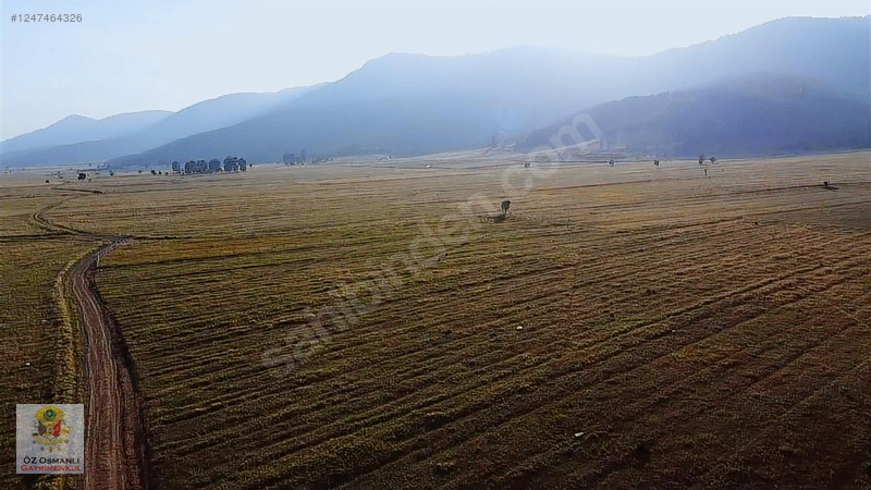 RESMİ YOLU OLAN 4,600 m2 ÇİFTLİK ARAZİSİ KAÇMAZ ! - BİLECİK OSMANELİ fotoğraf 5