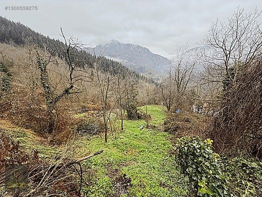 KASTAMONU KÜRE GÜLLÜCE 'DE KÖY İÇİNDE 798 M2 İMARLI UYGUN ARSA - KASTAMONU KÜRE fotoğraf 14