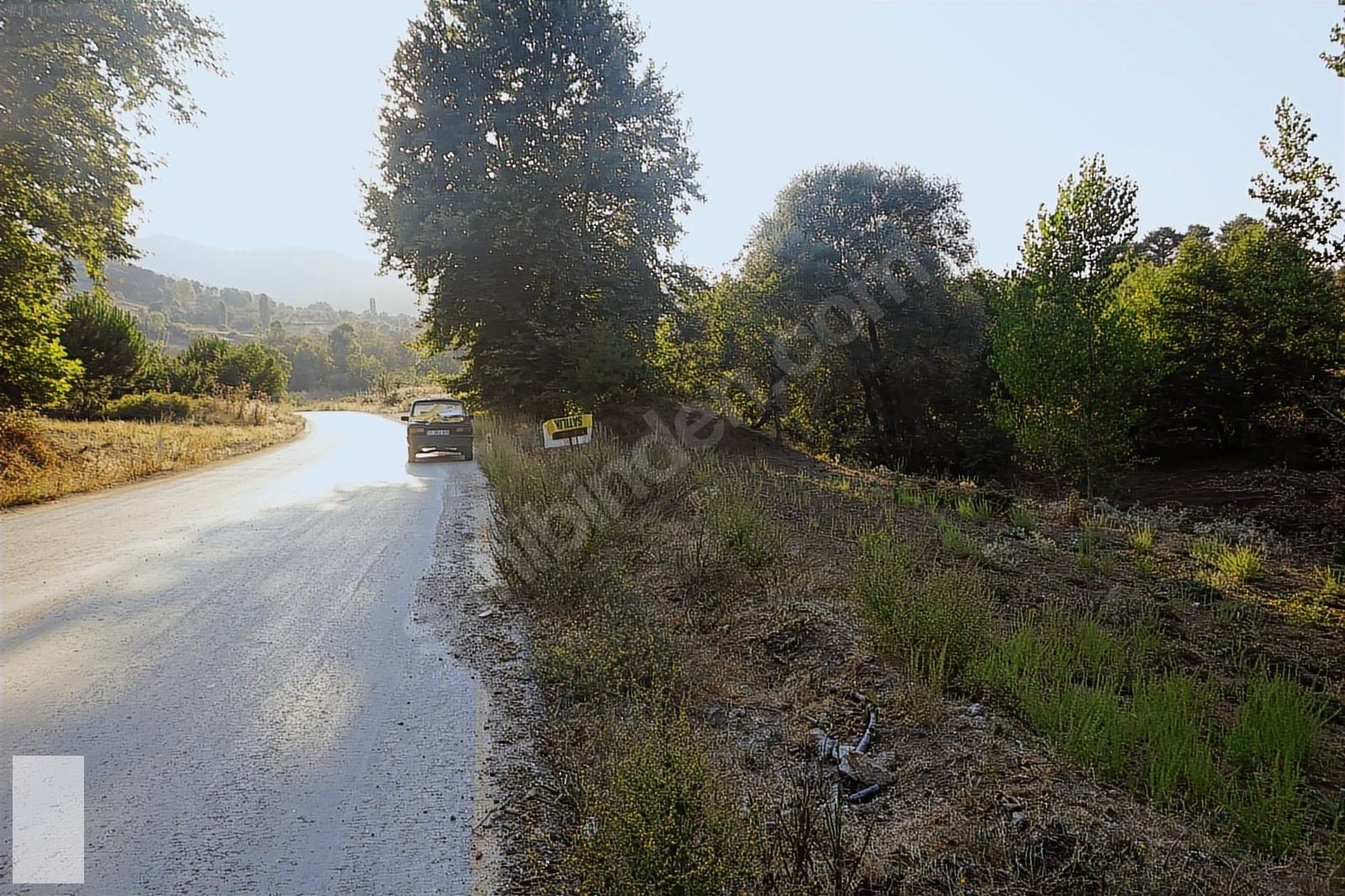 ÇANAKKALE BAYRAMİÇ SERHAT KÖYÜ 592 m2 % 80 İMARLI ARSA - ÇANAKKALE BAYRAMİÇ fotoğraf 6