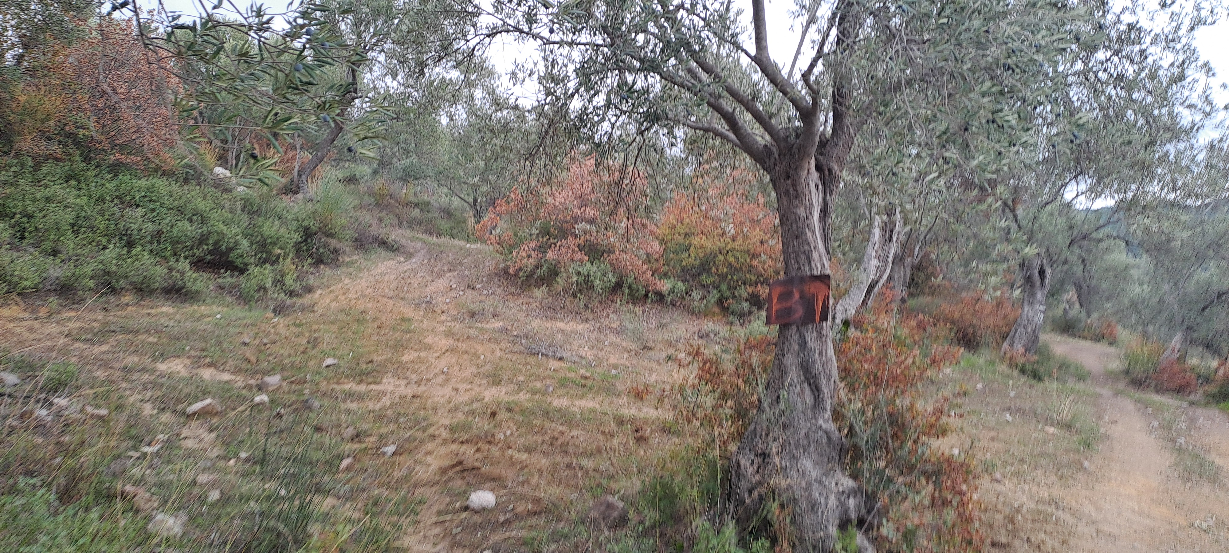 İlan Resmi