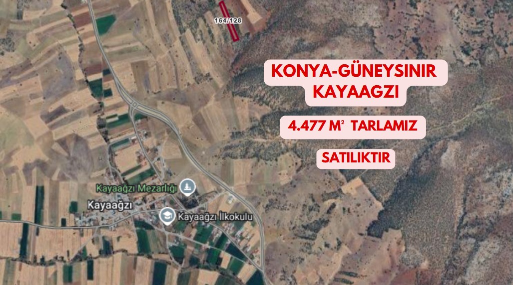 KONYA GÜNEYSINIR KAYAAĞZI KÖYÜNDE 4.477 M²  TARLA SATILIKTIR - KONYA GÜNEYSINIR fotoğraf 2