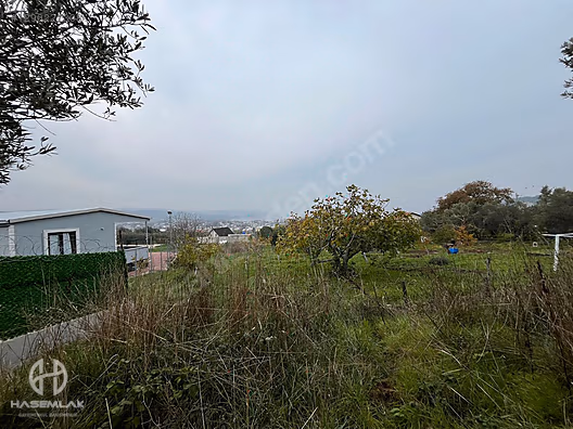 BÖLGE UZMANI HAS EMLAK DENİZ MANZARALI FIRSAT HOBİ BAHÇESİ - BURSA MUDANYA fotoğraf 5