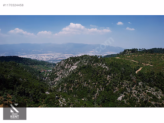 Kemalpaşa Atatürk Kozludere Satılık 6.543 m2 Arazi - İZMİR KEMALPAŞA fotoğraf 22