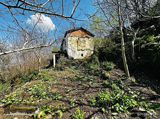 A PLUS GAYRİMENKULDEN DALLIK MAH. BİN M2 ARSALI SATILIK MÜS. EV - İZMİR TİRE fotoğraf 9