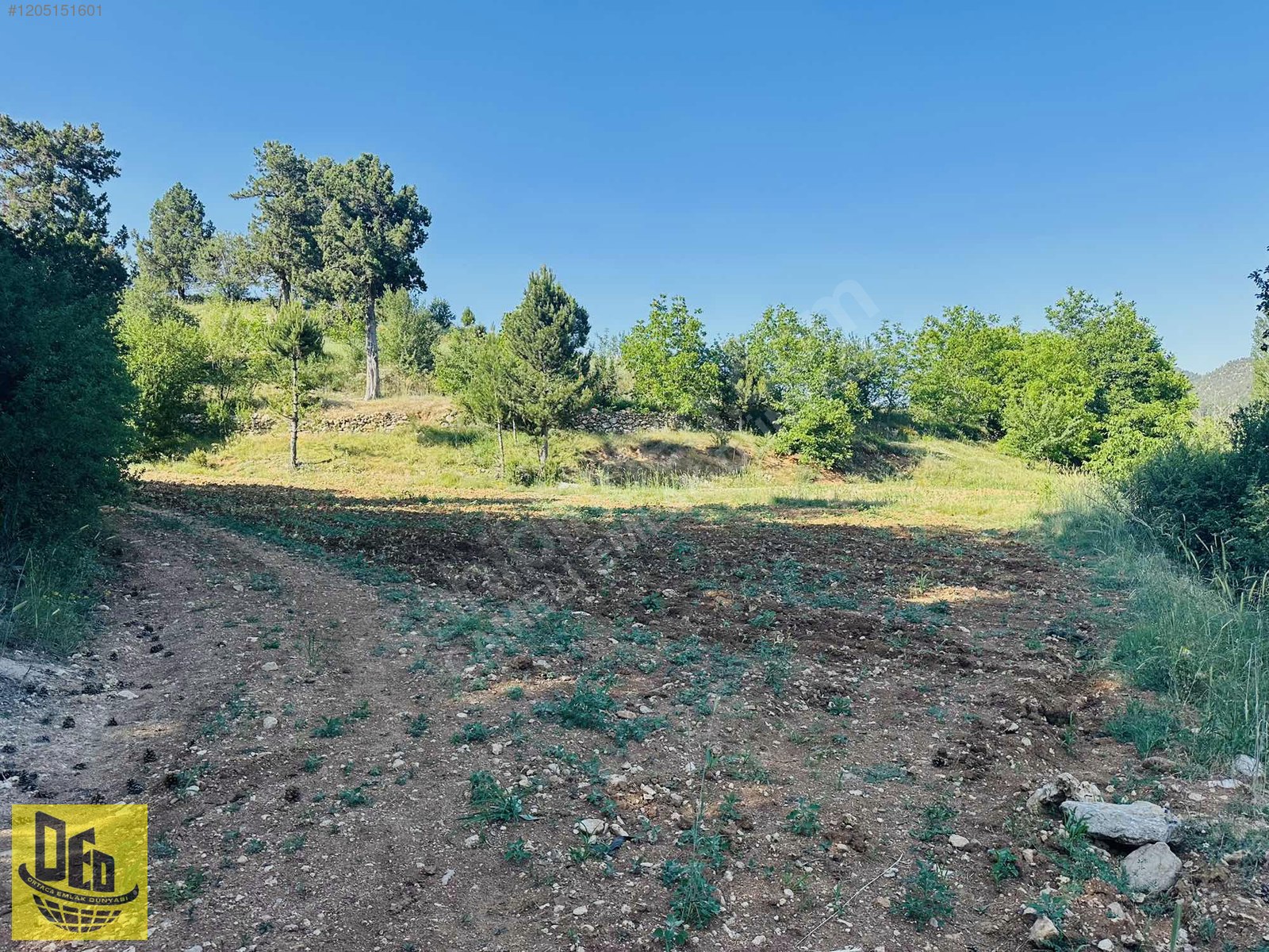 DENİZLİ ÇAMELİ KALINKOZ YATIRIMLIK 839m2 KUPON TARLA - DENİZLİ ÇAMELİ fotoğraf 5