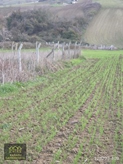 KIRKLARELİ MERKEZ KAPAKLI SÜPER KONUMDA 1231 M2 TARLA - KIRKLARELİ MERKEZ fotoğraf 6