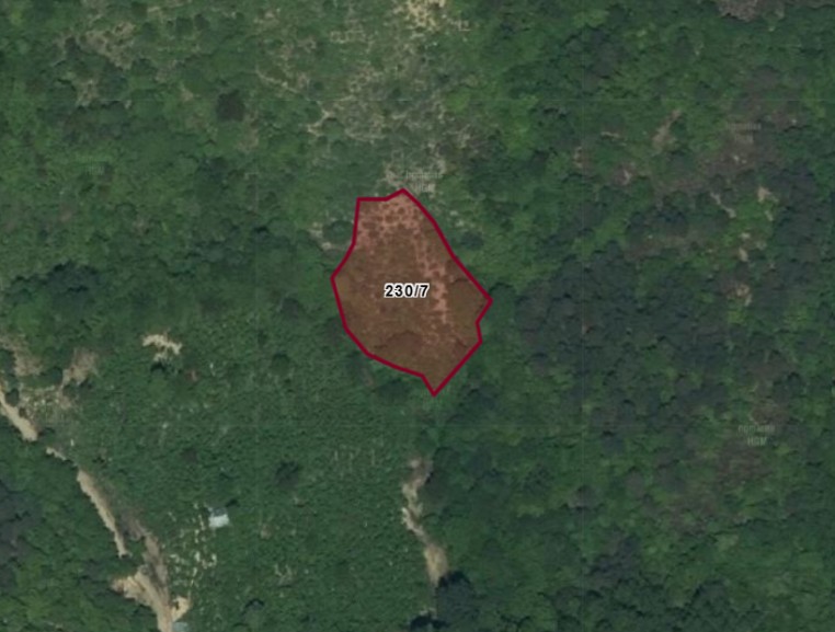 BARTIN ULUS DÖNGELLER KÖYÜNDE 2.412 M² TARLA SATILIKTIR.