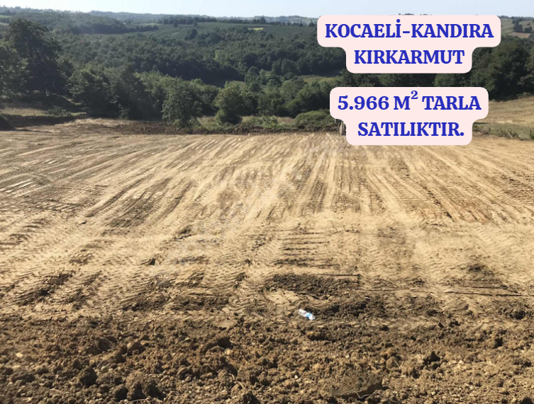 KOCAELİ KANDIRA KIRKARMUT   KÖYÜNDE 5.966 M²  TARLA  SATILIKTIR - KOCAELİ KANDIRA fotoğraf 2