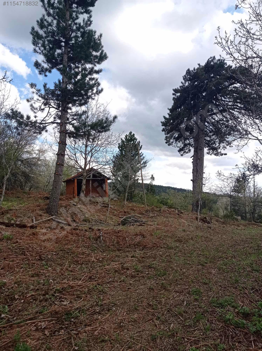 BURSA KELEŞ PINARCIK'TA 1.902 M²  BAHÇELİ KARGIR EV SATILIKTIR - BURSA KELES fotoğraf 13