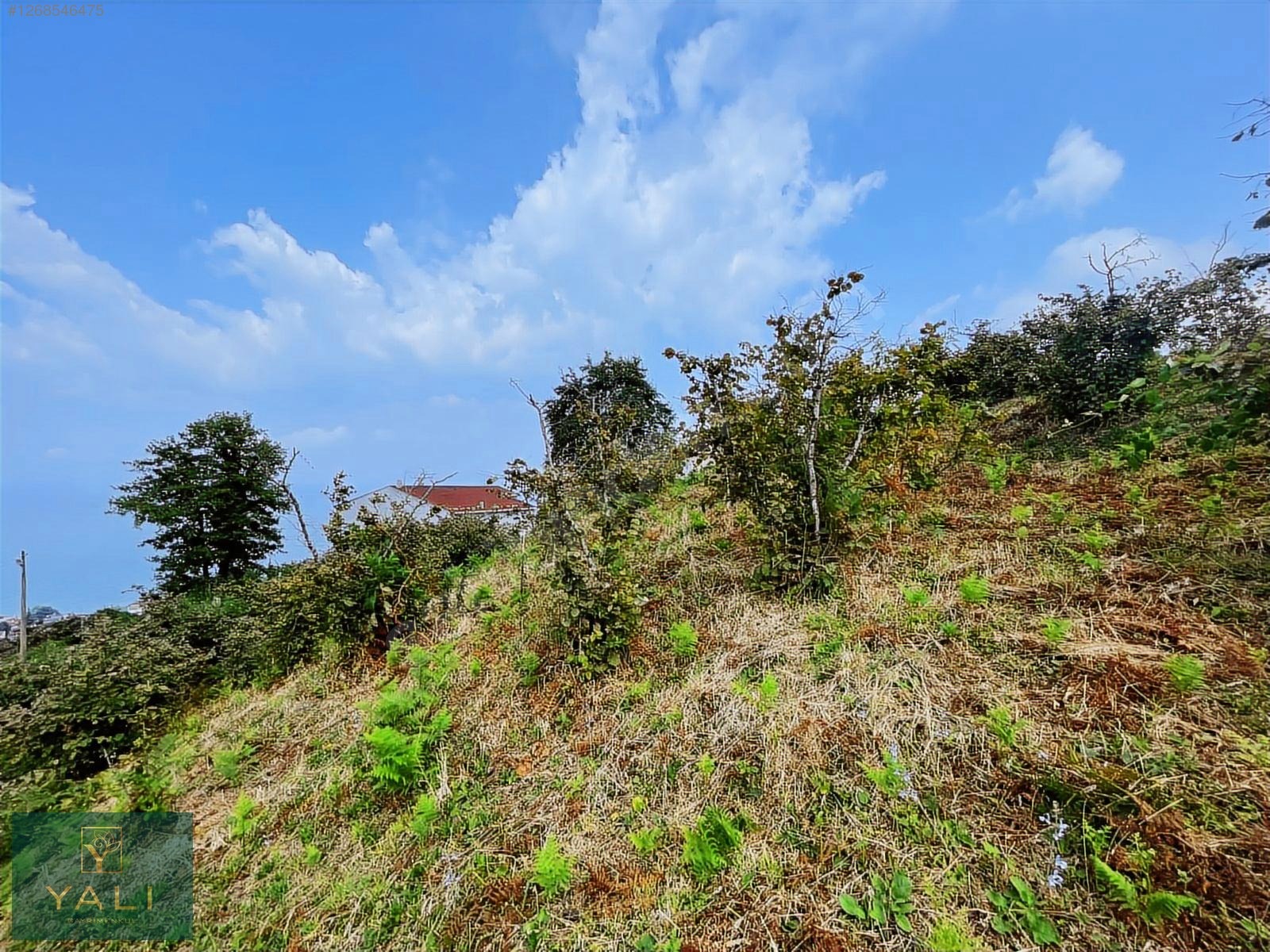 GİRESUN MERKEZ YALIKÖY MEVKİİ SATILIK ARAZİ - GİRESUN MERKEZ fotoğraf 32