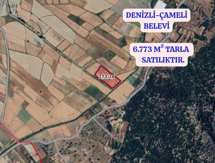 DENİZLİ ÇAMELİ BELEVİ  KÖYÜNDE 6.773  M² TARLA  SATILIKTIR - DENİZLİ ÇAMELİ fotoğraf 2