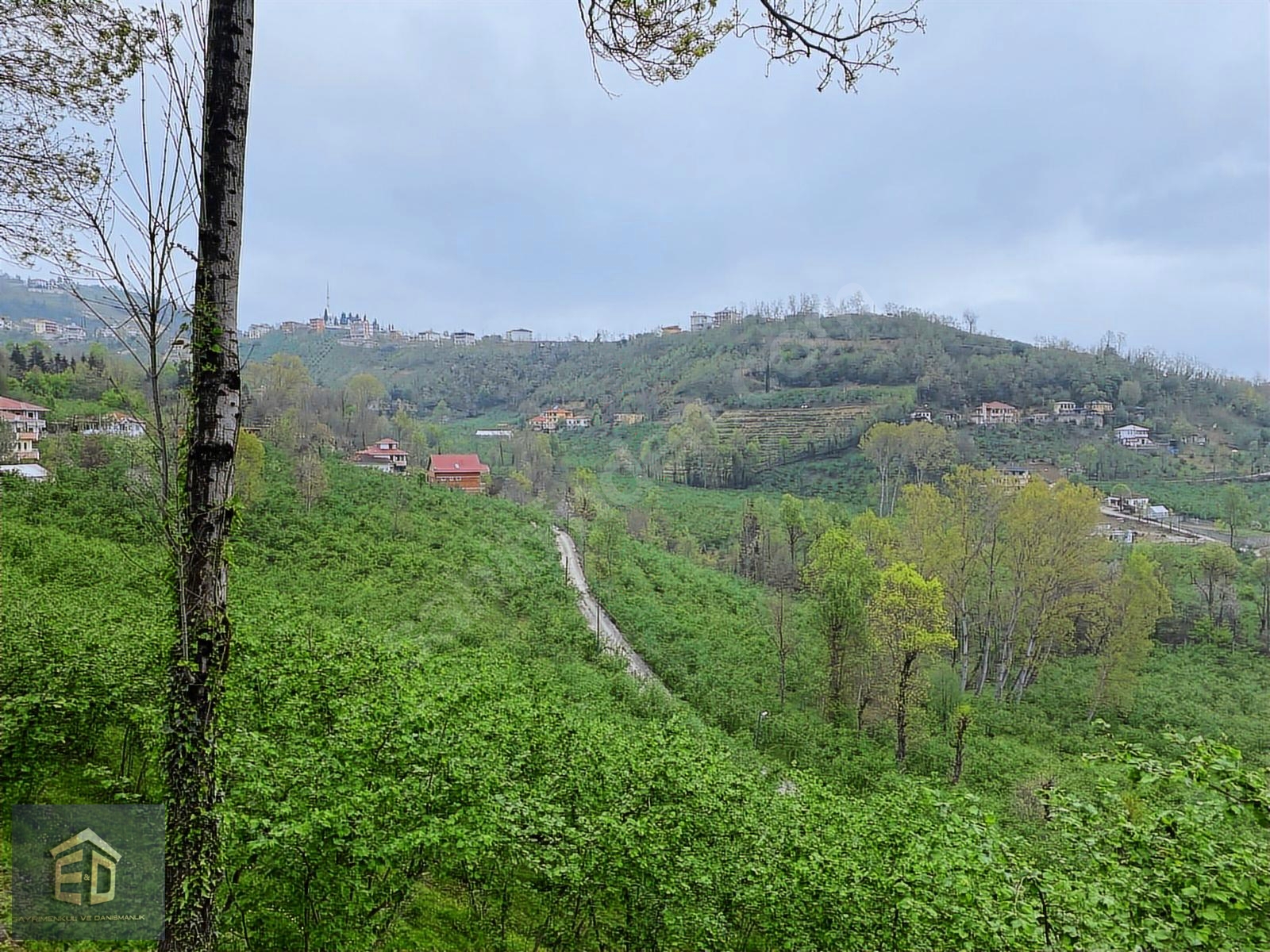TRABZON AKOLUK'TA SATILIK 2.516M² YATIRIMA UYGUN ARSA - TRABZON ORTAHİSAR fotoğraf 6