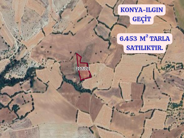 KONYA ILGIN GEÇİT  KÖYÜNDE 6.453   M² TARLA  SATILIKTIR - KONYA ILGIN fotoğraf 2