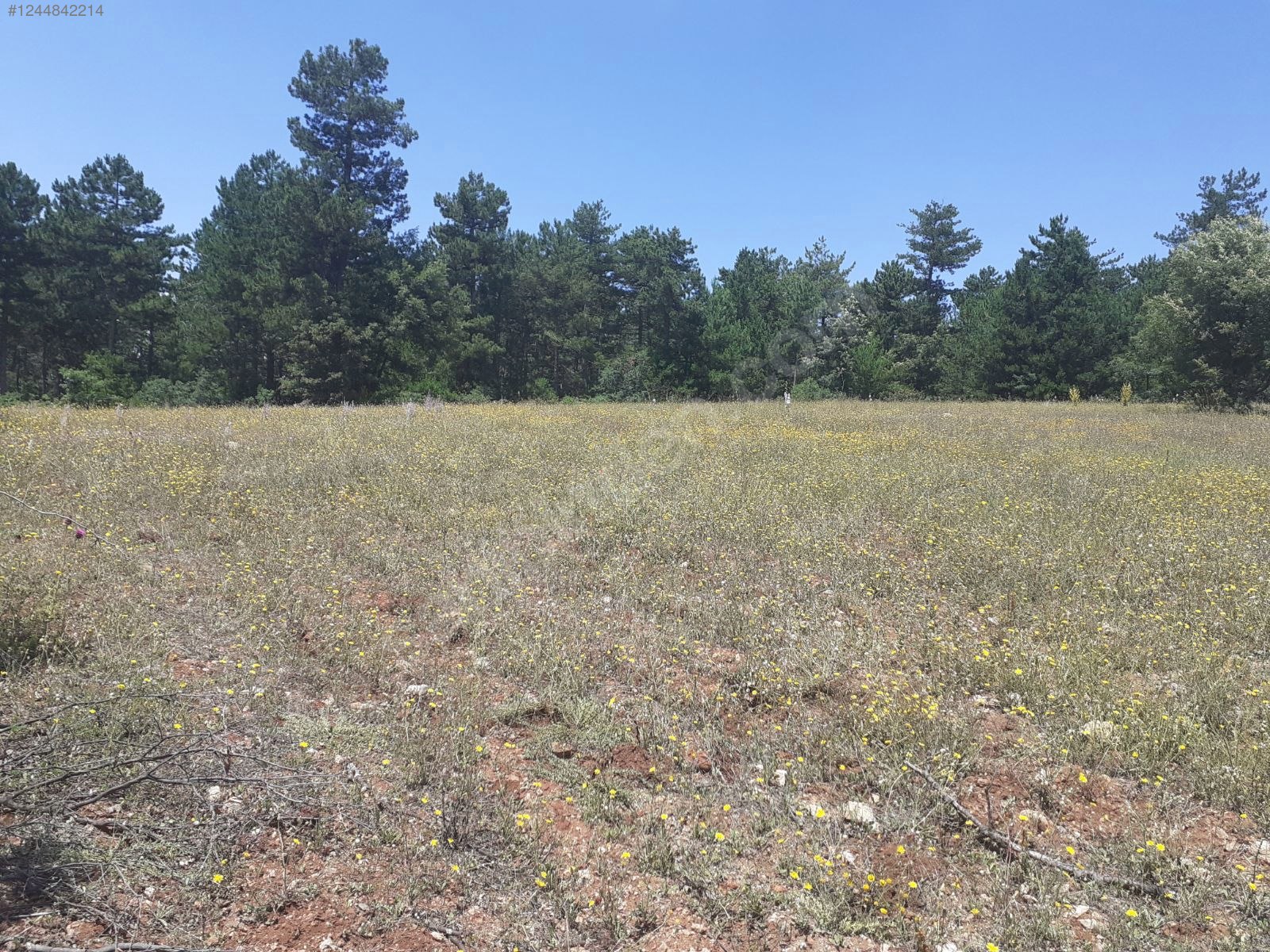 BURSA KELEŞ YUNUSLAR 6.251  M² TARLA SATILIKTIR. - BURSA KELES fotoğraf 9