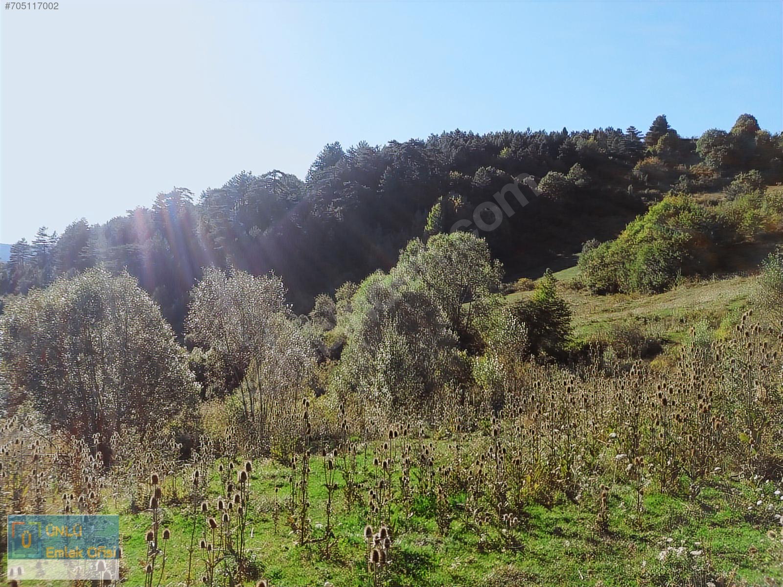 ÜNLÜ EMLAKTAN ILGAZ MANZARALI ORMAN İÇİNDE 50 DÖNÜM CAZİP ARAZİ - KASTAMONU MERKEZ fotoğraf 19