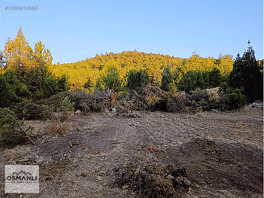 ARAÇ TAKASLI 3.150 M2, İLÇEYE 5 DK MESAFEDE YATIRIM FIRSATI - BİLECİK SÖĞÜT fotoğraf 13