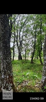 TEKİN EMLAKTAN BİLECİK OSMAELİNDE SATILIK TARLA - BİLECİK OSMANELİ fotoğraf 3