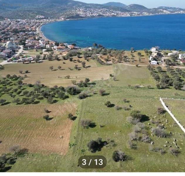 İZMİR ALİAĞA ÇAKMAKLI KÖYÜ’NDE ZEYTİNLİ TARLANIN 117 M²’Sİ SATILIKTIR - İZMİR ALİAĞA fotoğraf 7
