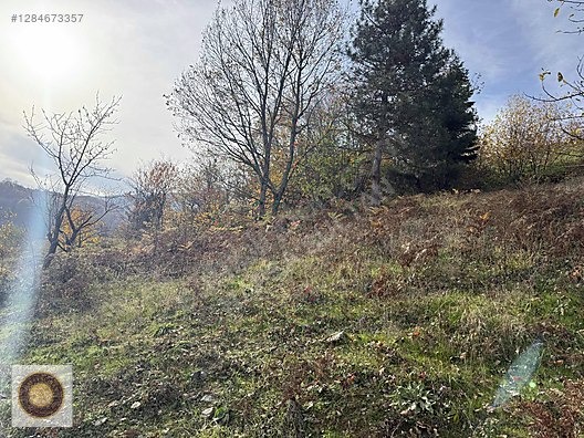 KESTEL LÜTFIYE MH SATILIK 1806M2 TARLA ASVALT YOLA CEPHE - BURSA KESTEL fotoğraf 30