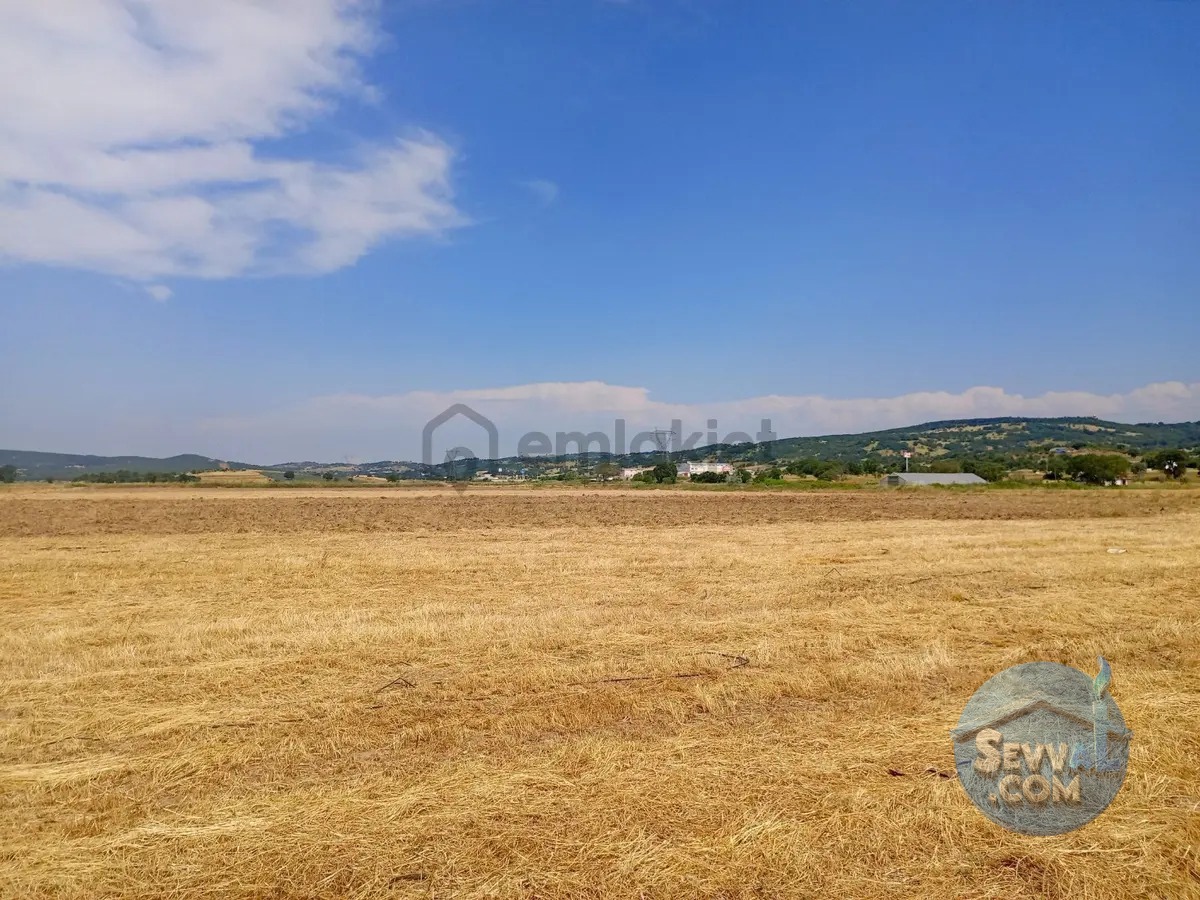 Gökçeyazı Da Kadastro Yolu Mevcut Tarla - BALIKESİR İVRİNDİ fotoğraf 3